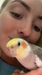 Baby bird rescue in Hawaii