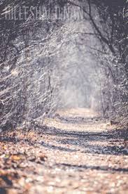 Pin On Evansville Indiana