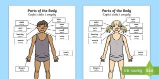 The body, together with engineer seth manchester of machines with magnets, capture the complexities of distorted sound in stunning detail. Parts Of The Body Senses Labelling Worksheet Worksheet English Polish