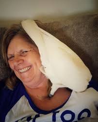 Chico snuggling with his new mommy.