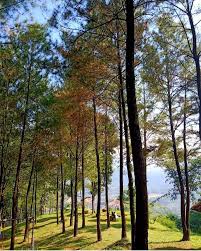 Hutan adat ammatoa kajang, desa tanah towa, desa pattiroang, desa malleleng dan desa bonto baji, kabupaten bulukumba, provinsi sulawesi selatan, luas kurang lebih 313,99 ha 5 Surga Alami Di Kuningan Ini Wajib Dikunjungi Si Pecinta Kedamaian
