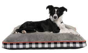 And the dogs have to undergo special training. Holiday Time Gusseted Pet Bed Gray X Large 32 L X 42 W X 4 H Walmart Com Walmart Com