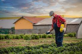 Pests such as bedbugs, mice and termites have the potential to cause both illness and financial loss if not properly controlled. California S Pesticide Regulators Are Supposed To Consider Safer Alternatives Many Don T Civil Eats