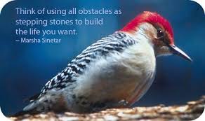 Symbolic Meaning Of Woodpecker Animal Spirit Guides Spirit Animal Totem Animal Symbolism