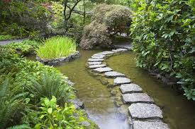 Adoptez les 5 plantes incontournables du jardin japonais : Comment Creer Un Jardin Japonais