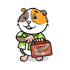Travel Guinea Pig Home Facebook