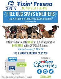 Is there a free spay neuter. Few Spots Still Open In Fixin Fresno Spay Neuter Grant Central California Spca Fresno Ca
