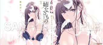 NEWS／最新情報｜ » 【2020年12月26日発売】『姉なるもの』コミックス第5巻の店舗購入特典をご紹介!|『姉なるもの』公式サイト