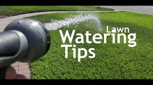 The lawn care nut likely has additional revenue sources. How To Set Up Manual Sprinklers To Water Your Lawn In Summer Youtube