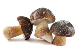 Il risotto ai funghi porcini è un primo piatto cremoso, perfetto da preparare con i porcini freschi di stagione, ma gradevole e apprezzato anche con i funghi porcini surgelati. Come Cucinare Funghi Surgelati Cucinarefunghi Com