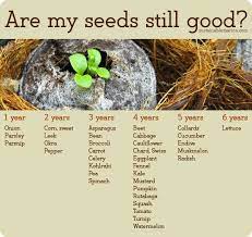 How To Store Seeds For Years Sow True Seed How To Store Seeds Seed Saving Seeds