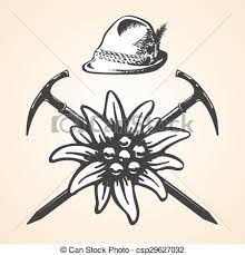 Risultati Immagini Per Cappello Alpino E Stelle Alpine Tatuajes Tatuar Graficos Punto De Cruz