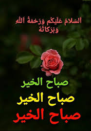 We did not find results for: Pin By Amir On ØµØ¨Ø§Ø­ Ø§Ù„Ø®ÙŠØ± Good Morning Images Good Morning Gif Morning Images