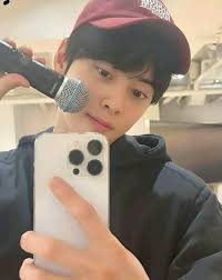 Cha Eun woo official fans group