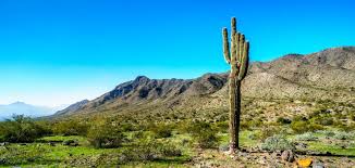 Get information about hours, locations, contacts and find store on map. Laveen Vision Center Park Place Nationwide Vision