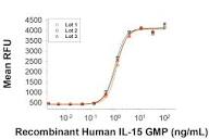 Recombinant Human IL-15 GMP Protein, CF ≥97% (HPLC): R&D Systems