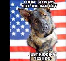 Just Kidding Military Working Dogs Working Dogs Funny Dogs