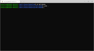 The windows subsystem for linux (wsl) (aka: Using Remote Containers In Wsl 2