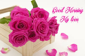 A beautiful image of a goodmorning with a flower and a kiss to be sent to the important people in your life. 175 Most Romantic Good Morning Couple Images Free Download Good Morning