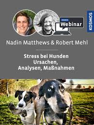 Erfahre, warum mamdelmehl gesund ist und wie es sich auf deine gesundheit auswirken kann. Stress Beim Hund Ursachen Analyse Massnahmen Webinare Kurse Digital Kosmos