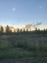 The preserve rv resort cleveland, tx. Lost Alaskan Rv Park Alpine Texas Rv Parks Natural Landmarks Park