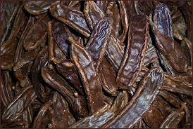 Find & download free graphic resources for carob tree. Celebrating Dried Carob On Tu Bishvat Ilana Fodiman Silverman The Blogs