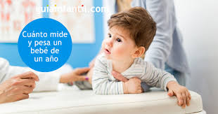 Bebe De Un Ano Desarrollo Del Bebe Mes A Mes