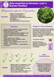 Geranium Bourbon Proprietes Et Utilisation Sans Danger Pelargonium Graveolens Asperum Cv Bourbon Huiles Essentielles