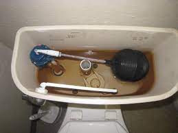 Orange mold orange or pinkish slimy mold can develop around the toilet bowl at the spot where the top of the water sits in the bowl. The 6 Simple Steps To Odor Free Water