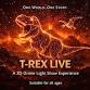 Sky Adventures - Drone & Laser Show - Live