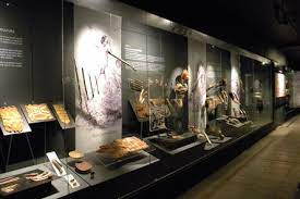 Este extenso, atractivo y particular museo, conserva las momias de la cultura chinchorro, caracterizándose por ser las momias más antiguas del mundo. Museo Universidad De Tarapaca San Miguel De Azapa Registro De Museos De Chile