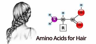 They are a significant nutritional requirement for healthy hair growth. Amino Acids For Hair Growth