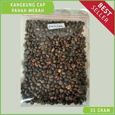 Ada beberapa teknik hidroponik yang bisa kamu terapkan. Benih Bibit Kangkung Hidroponik Traditional Berkualitas Shopee Indonesia