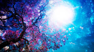 Pentru păgâni, solstițiul de iarnă poartă denumirea de „nașterea noului soare, noaptea în care marea zeiţă dădea naştere noului soare, repornind astfel ciclul anotimpurilor. 20 Martie EchinocÈ›iul De PrimÄƒvarÄƒ 2018 Ziua Devine Mai LungÄƒ Iar Natura Se TrezeÈ™te La ViaÈ›Äƒ Ziarul Unirea