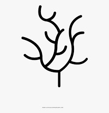 Seaweed coloring pages nature seaweed 4 printable 2021 533 coloring4free. Seaweed Coloring Page Hd Png Download Kindpng