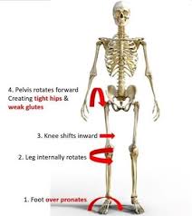Know the cause for tailbone pain & the effective techniques for iliacus and psoas releases. Glutes