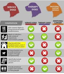 The Landlord Guide To Assistance Animals Service Dogs And Emotional Support Animals Service Dogs Therapy Dogs Emotional Support Dog