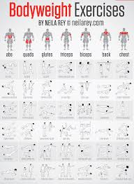 weight exercise chart margarethaydon com