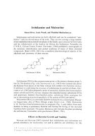 Image result for Malouetia bequaertiana