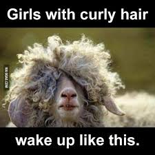 Girls With Curly Hair Curly Girl Hairstyles Curly Hair Styles Cute Animals