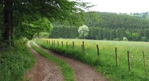Gouvy is a walloon municipality of belgium located in the province of luxembourg. Service Gouvy Eu De