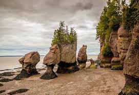 It has its roots in 1940s and 1950s rock and roll and rockabilly, which evolved from blues, country music and other influences. How Are Sedimentary Rocks Formed Worldatlas