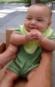 33rdInter-City Cactus and Succulent Show and Sale