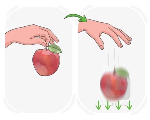 Definition & Meaning of "Gravity" in English | Picture Dictionary 🇬🇧