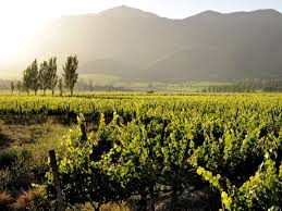 Miles) from the pacific ocean and 400km (248.5 miles) north of santiago . Santa Rita Winery Maipo Travel
