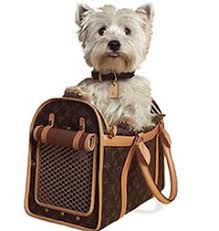 Its ability to accessorize to suit your specific travel needs makes for an overall among the soft pet carriers, the pettall stable carrier is the best option. Louis Vuitton Small Dog Carrier Replica The Art Of Mike Mignola