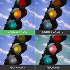 Does color blindness cause other health problems? You Ll Be Surprised How People With Color Blindness See The World 10 Pics Demilked