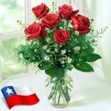 Se acerca el día de la madre, un día especial para sorprender a tu madre y felicitarla por todo lo que hace por ti. Dia De La Madre En Chile 2021