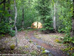 Comprising an edge of the kenai peninsula in south central alaska near the town of seward. Kenai Fjords National Park Archives Mountain Mom And Tots