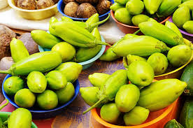 Image result for Gilgiochloa